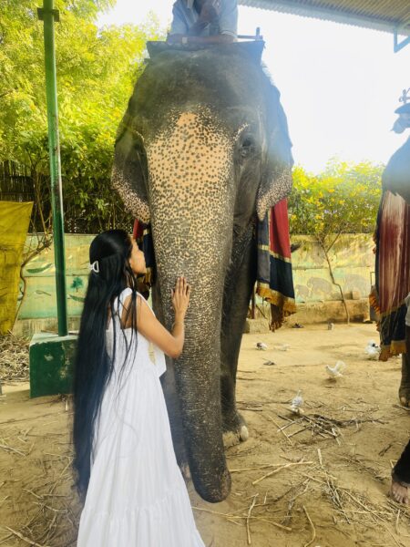 Image #2 from SUPRIYA CHURENDRA